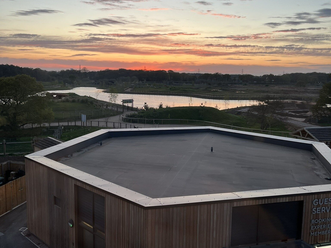 The Yorkshire Hive-唐克斯特必去景点