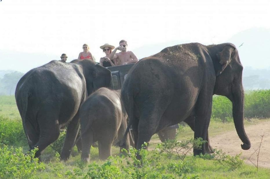 Ananda Special Jeep Safari & Village Tour