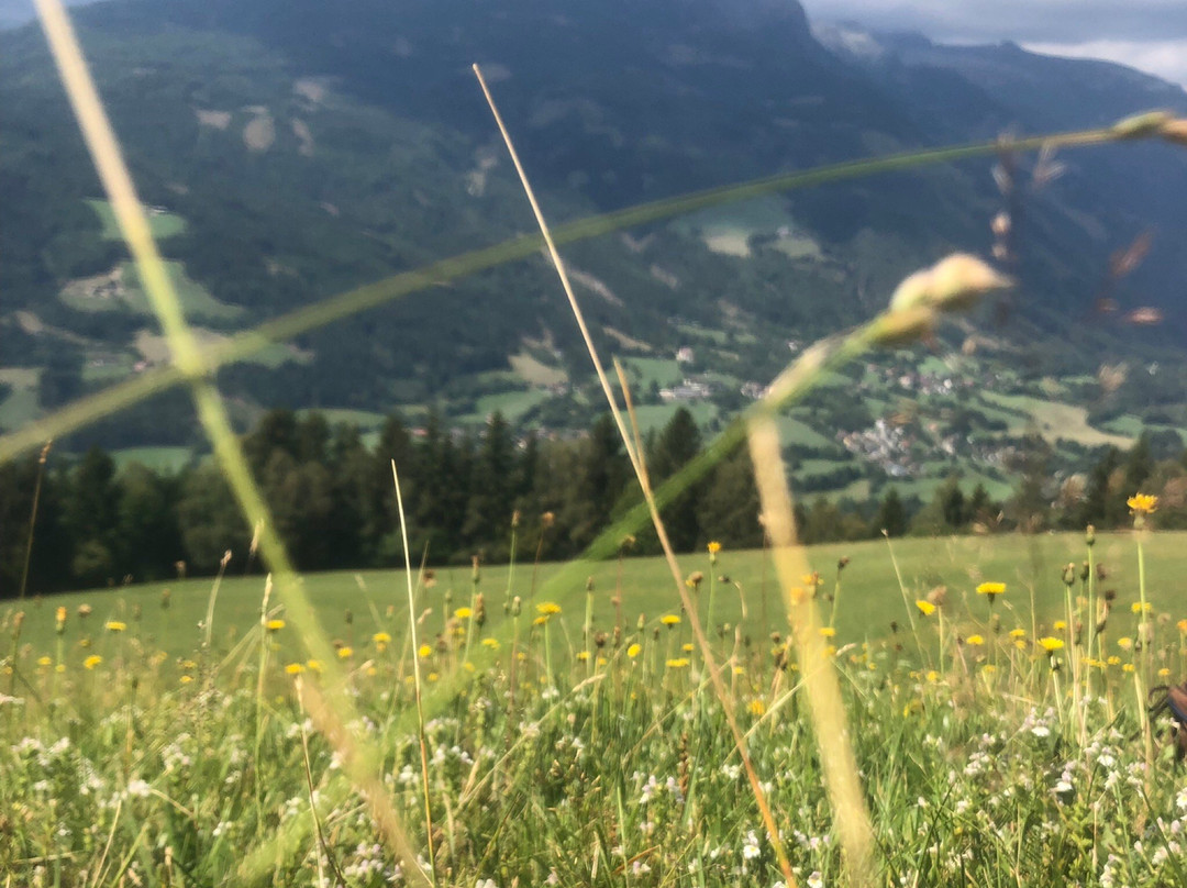 Hotel Restaurant Platzer主图