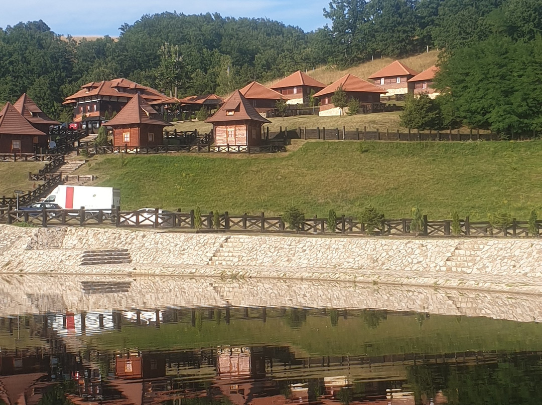 Eko Selo Kostunici主图