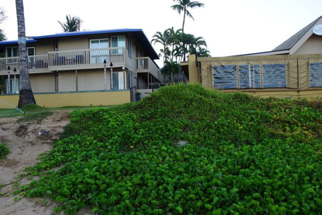 茂宜岛海滨酒店主图