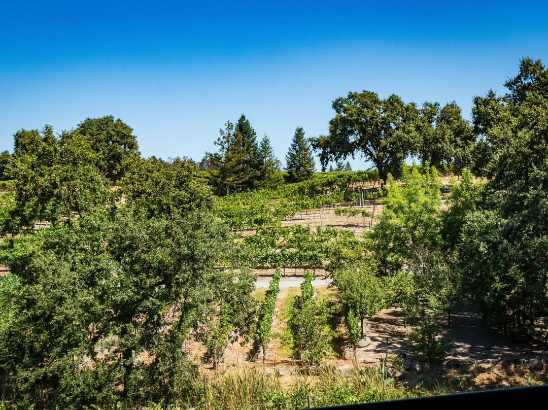 La Crema Estate at Saralee's Vineyard景点图片
