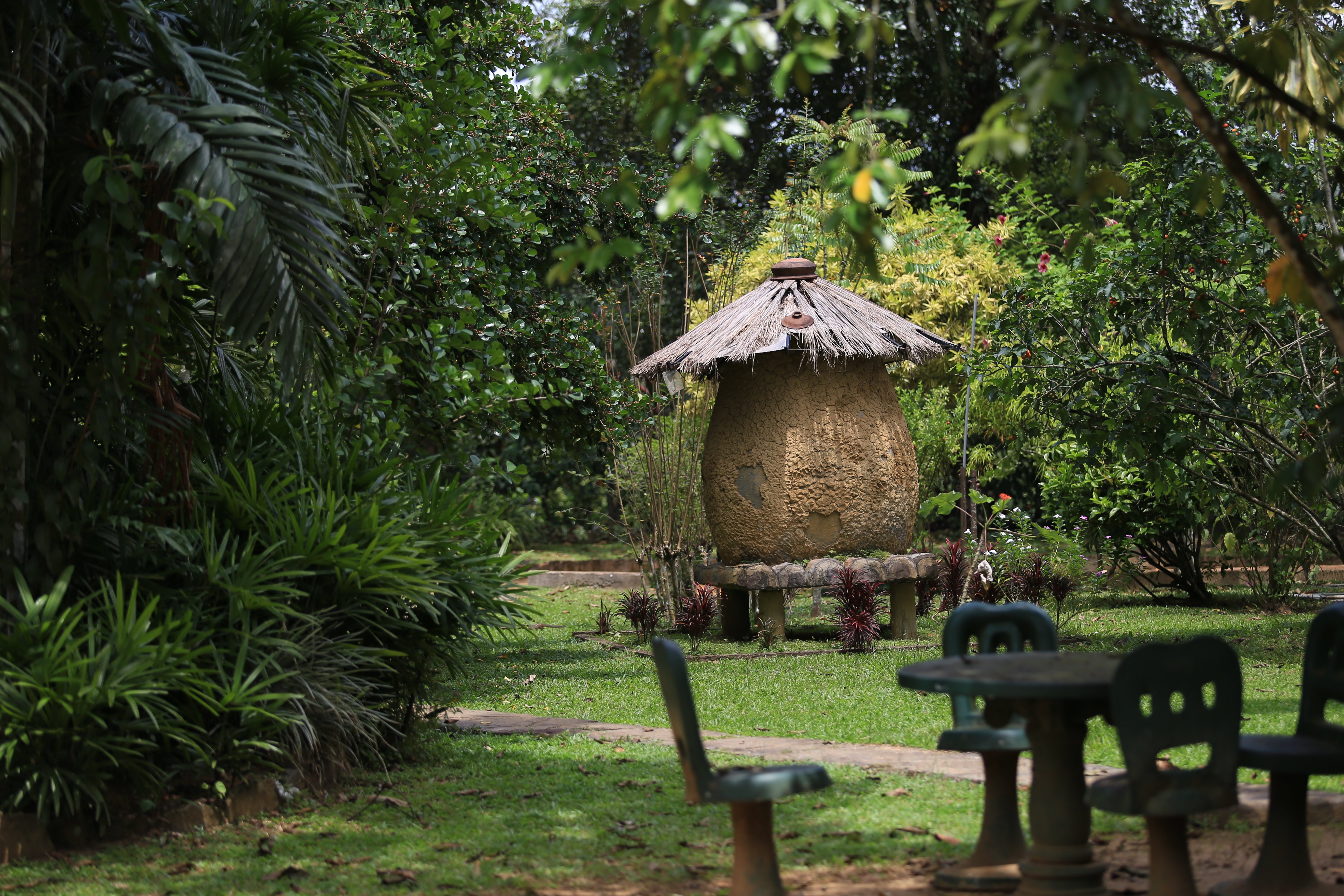 Randiya Epiliyagoda Resort-酒店景观