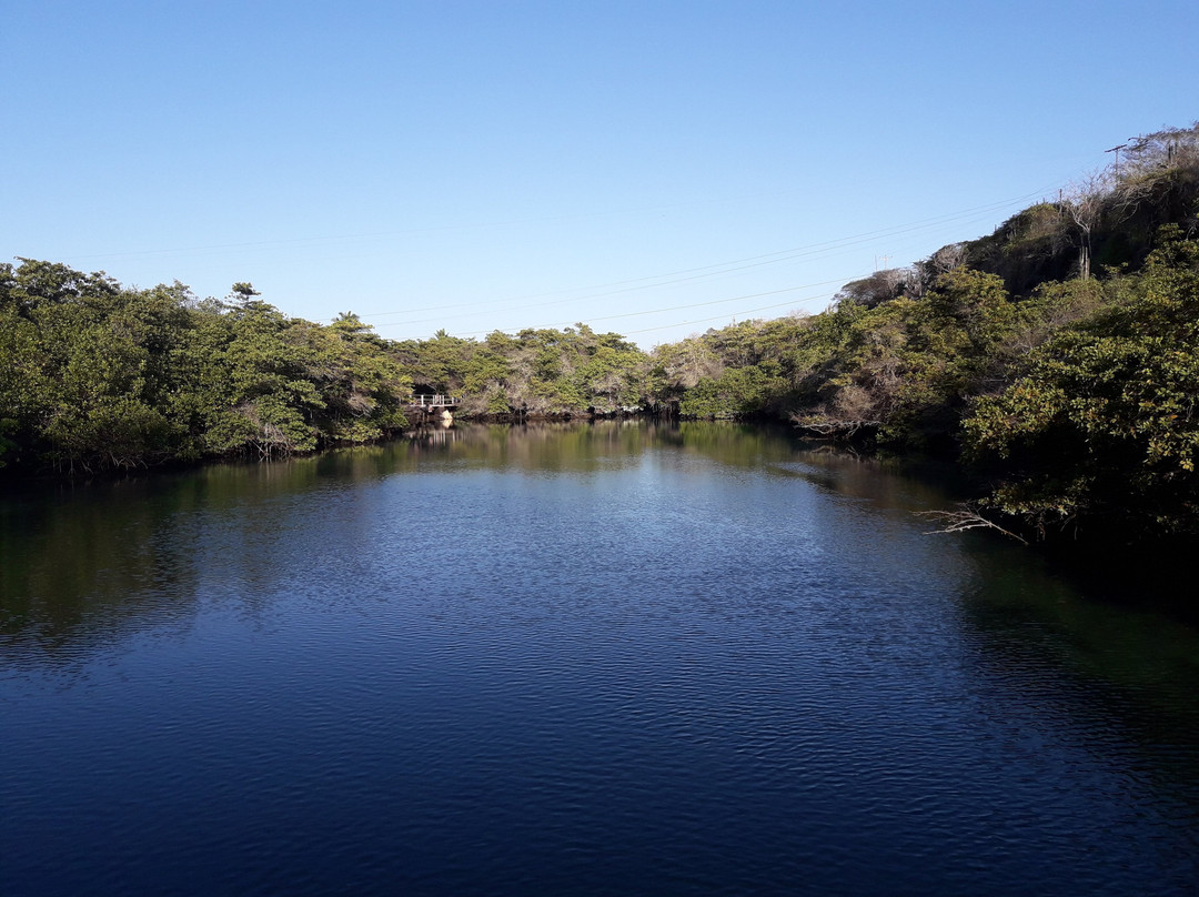 Laguna las Ninfas景点图片