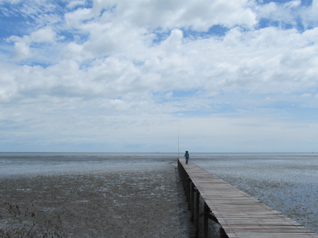 Laem Phak Bia Environmental Research and Development Project景点图片