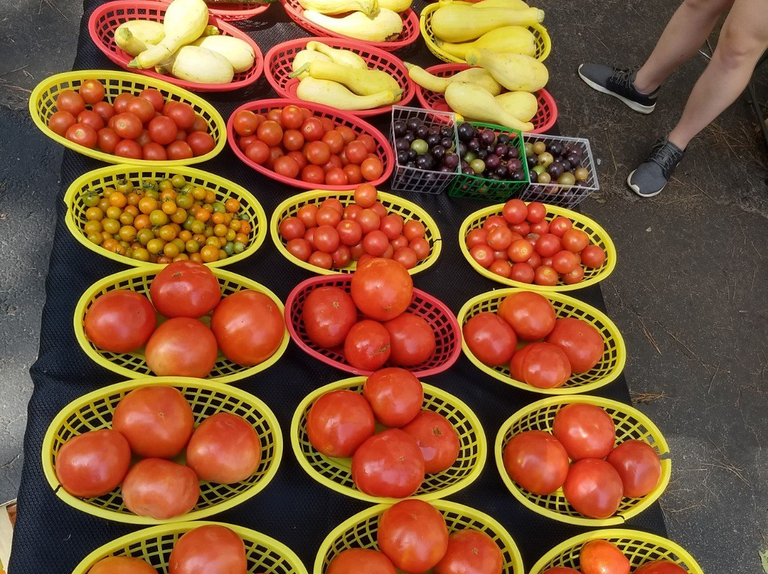 Peachtree City Farmers Market-桃树市必去景点