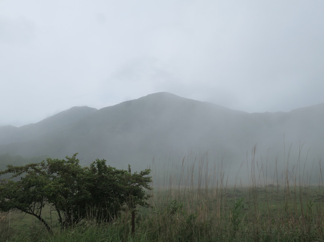 Mt. Tsurumi景点图片