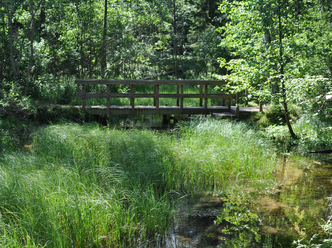 Odalatsi Springs-Odalatsi必去景点