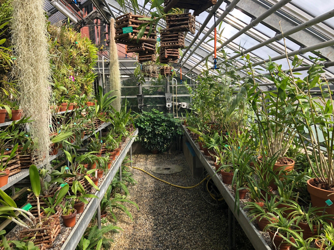 Jurassica Jardin Botanique-Porrentruy必去景点