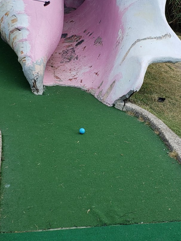 Magic Carpet Golf景点图片