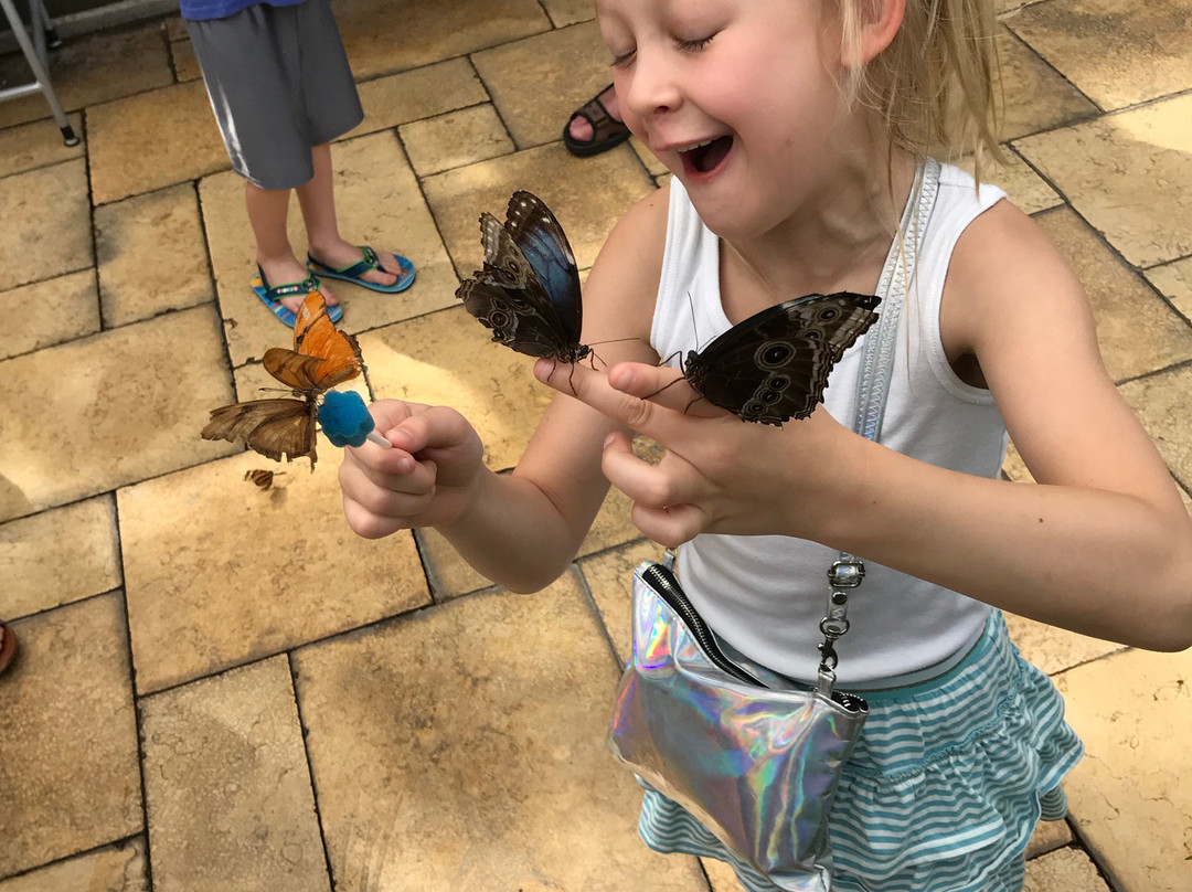 Nicholas Conservatory and Gardens-罗克福德必去景点