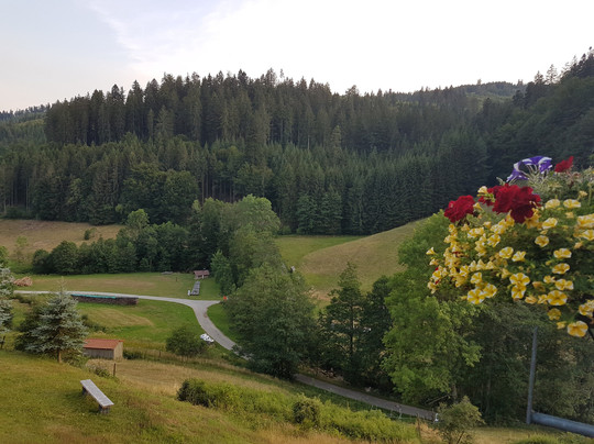 Landhaus Eickler主图