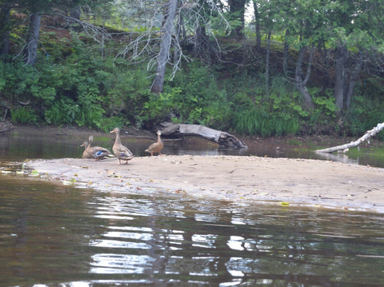 A L'Abordage Canot-Kayak Tremblant-塔伯拉山必去景点