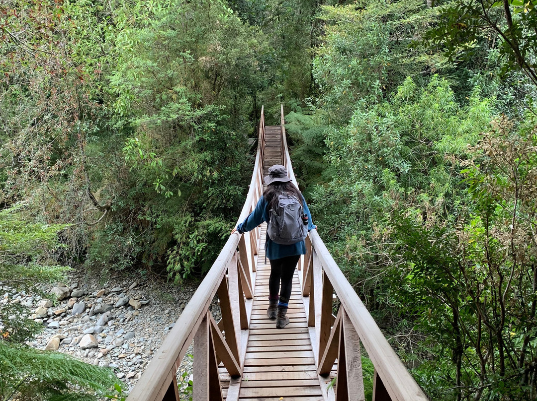 Parque Pumalin-Chaiten必去景点