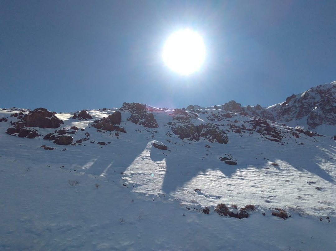 Hostal El Pichon主图