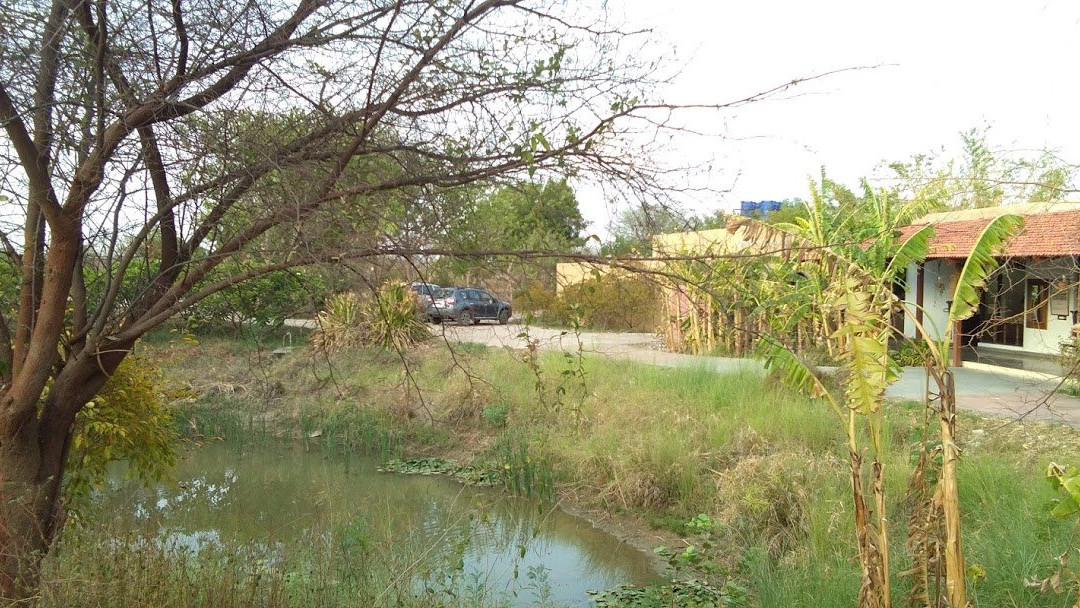 Mahua Tola Resort主图