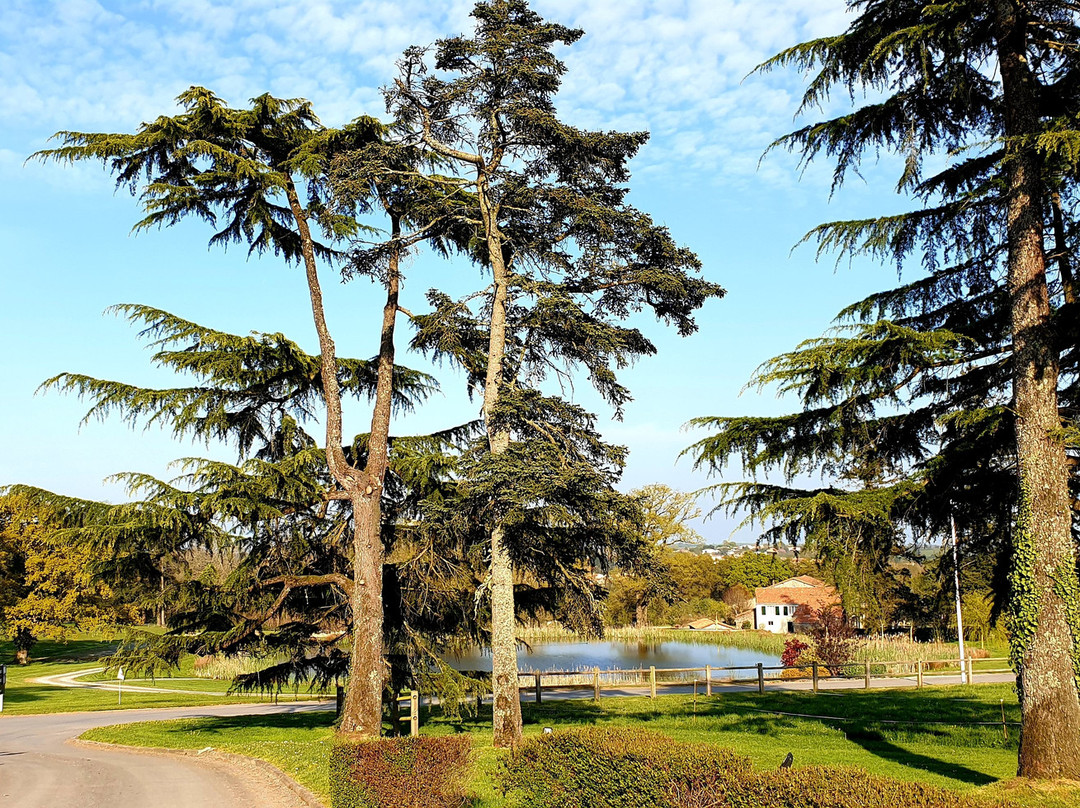 Château de la Barbinière - Hôtel de Charme & Restaurants主图