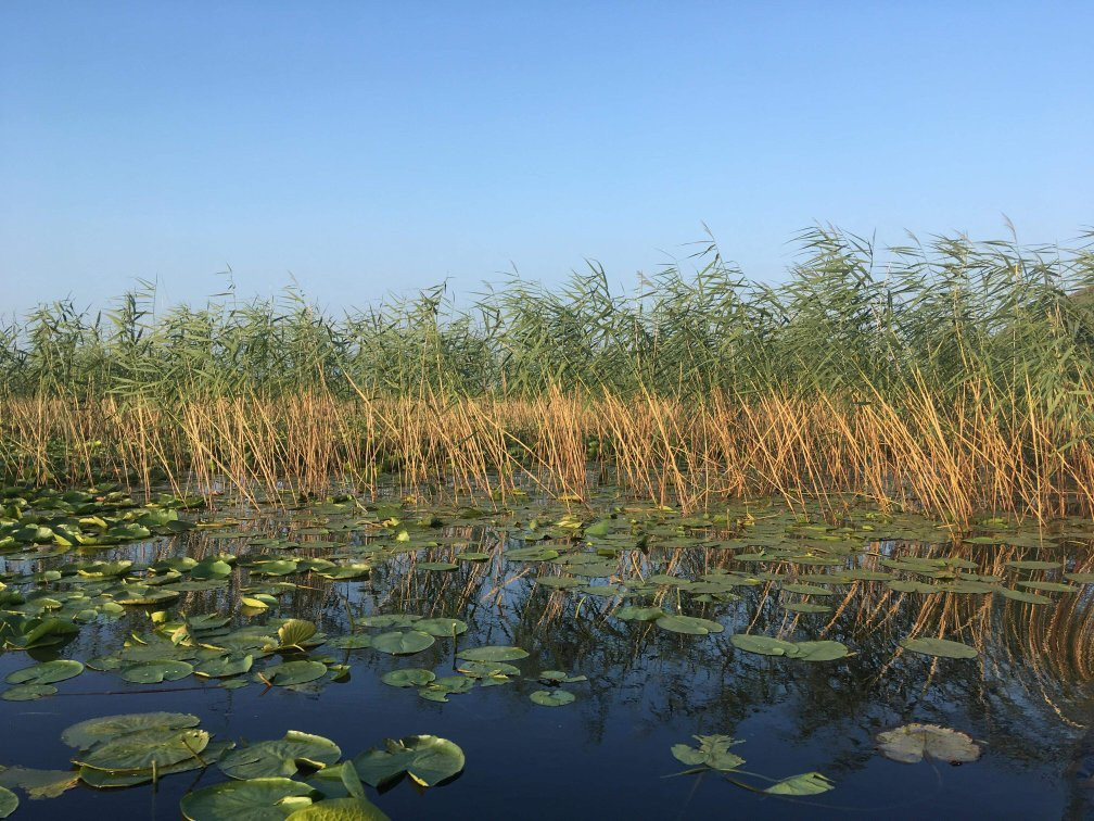 ARKA-维尔巴札拉必去景点