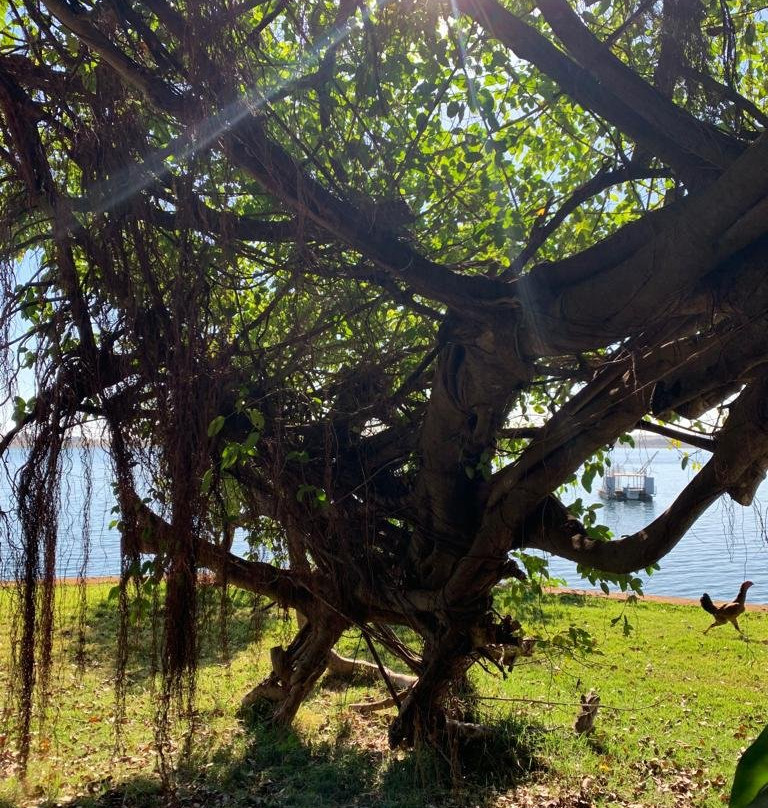 Pousada da Ilha主图