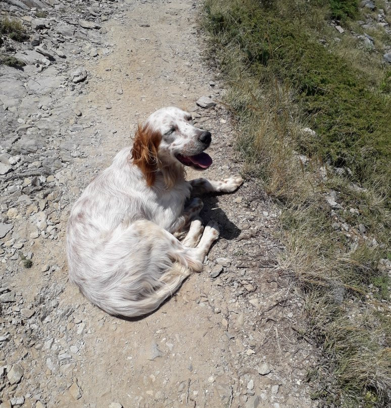 Taygetus Mountains-Sparta必去景点