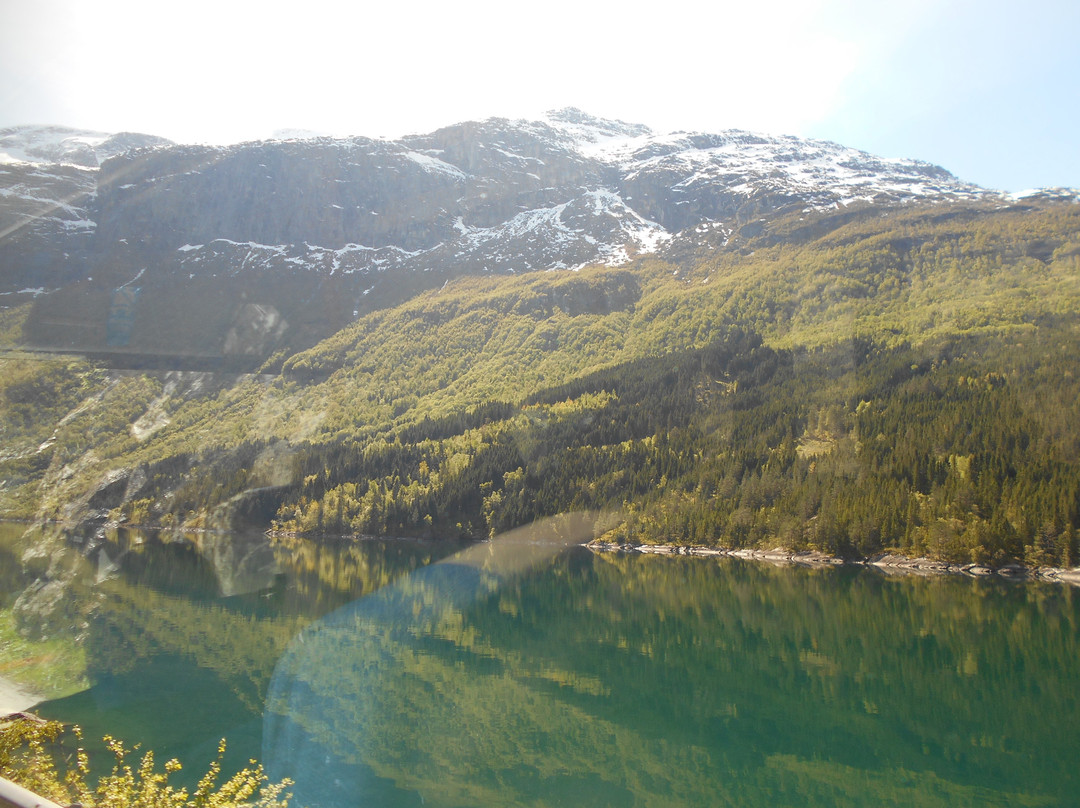 Glacier Sightseeing景点图片