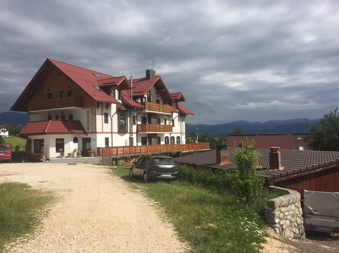 Pension Villa Hermani Magura / Bran主图