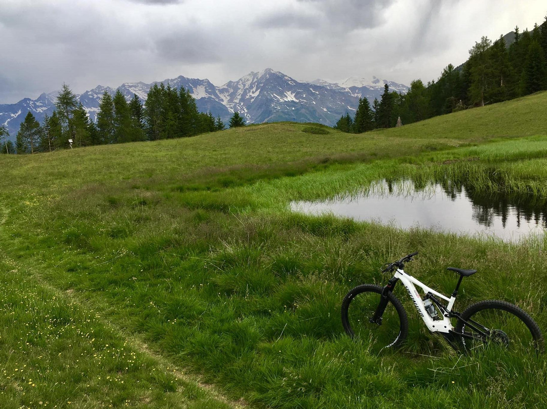 Andreis Specialized store & more-Male必去景点