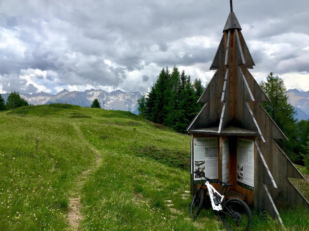 Andreis Specialized store & more-Male必去景点