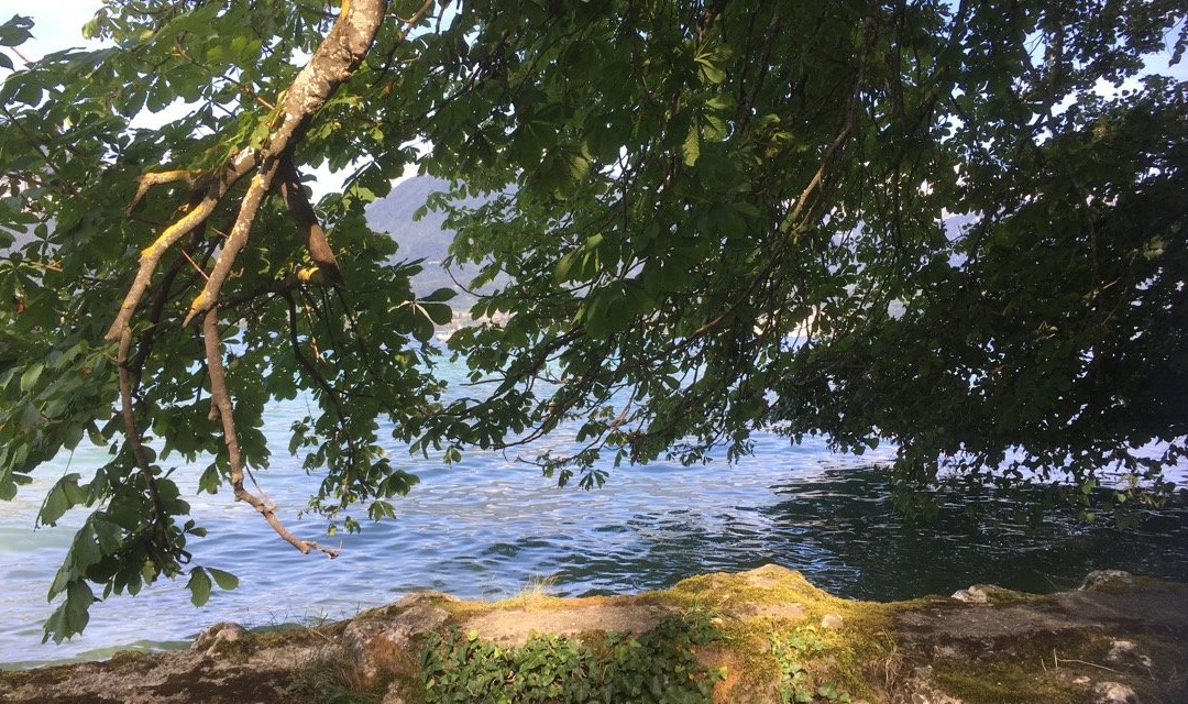 The Lake Annecy Greenway景点图片