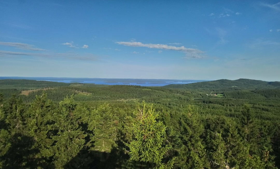 Räsävaara Observation tower-Koli National Park必去景点