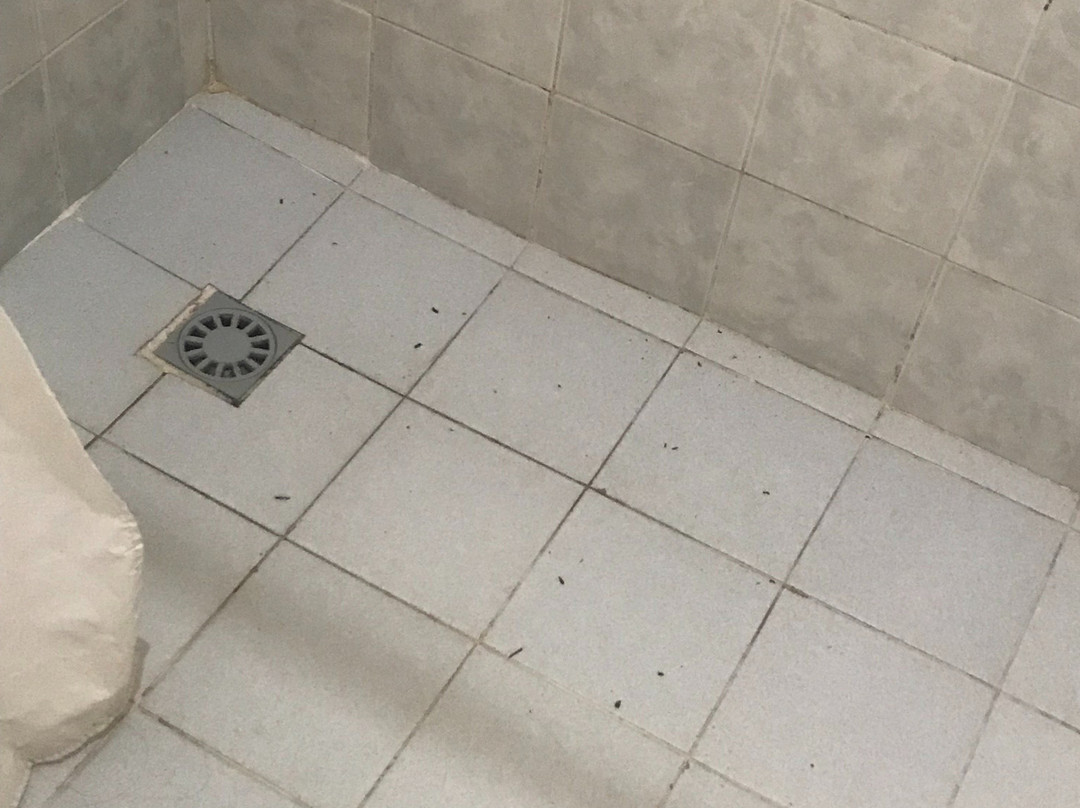 原始小岛海滩Spa度假村主图