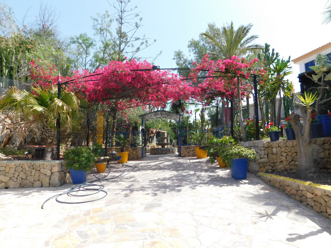 佩蒂特卡拉弗内尔斯酒店主图