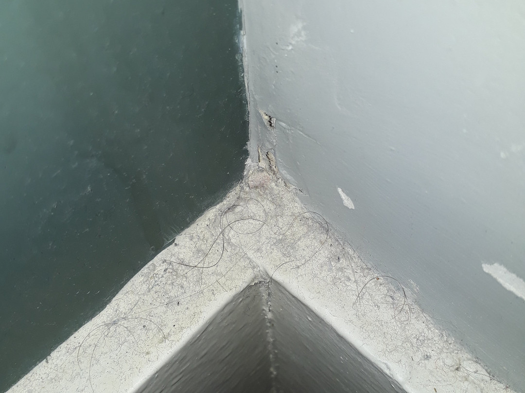 The Bear (Hotel)主图