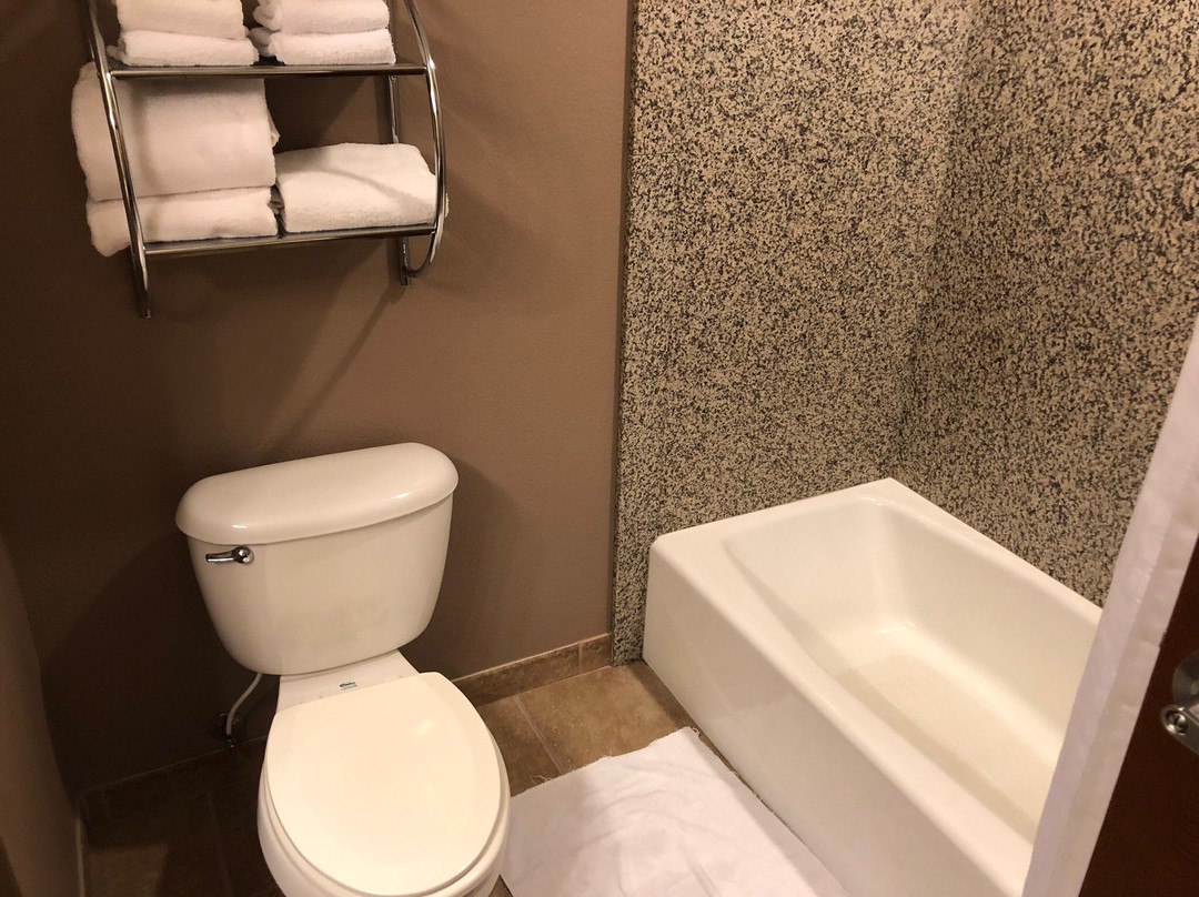 Best Western Plus Carousel Inn & Suites主图