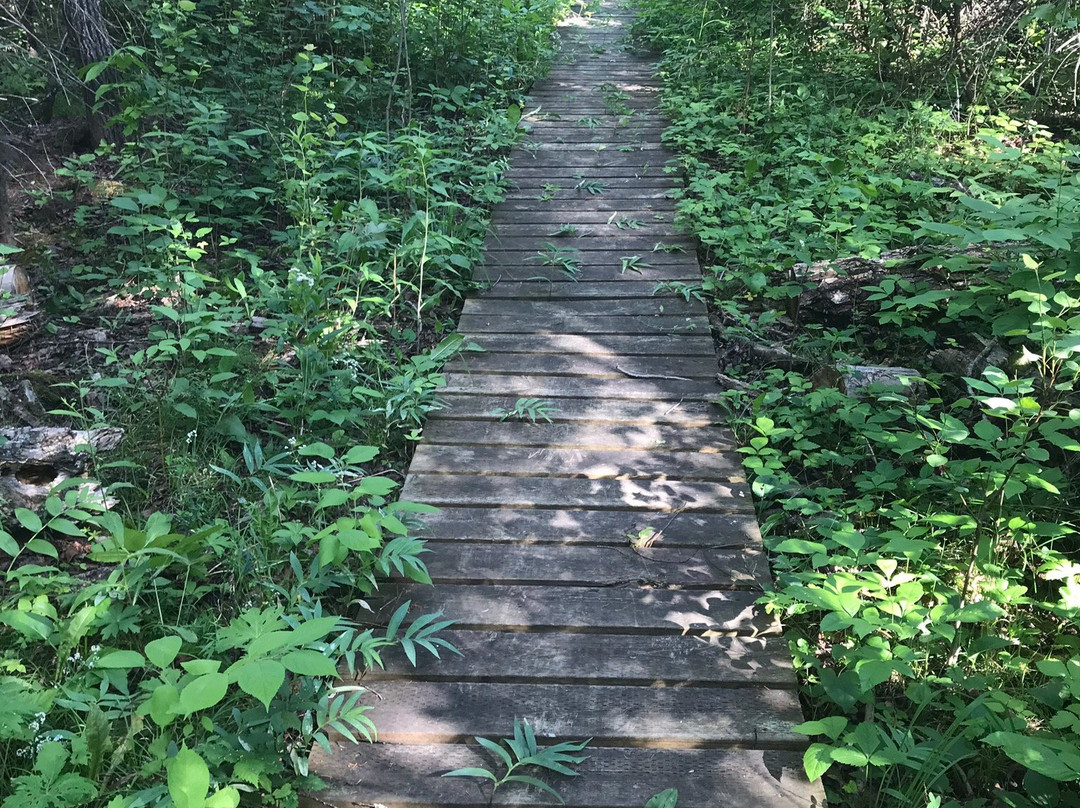 Sandilands Forest Discovery Centre-Hadashville必去景点