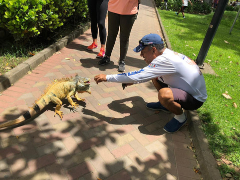 Rigo Suave CR Tours-Playa Flamingo必去景点