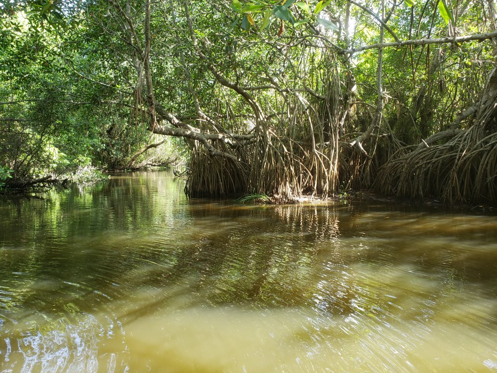 Pantanos de Centla-坎佩切州必去景点