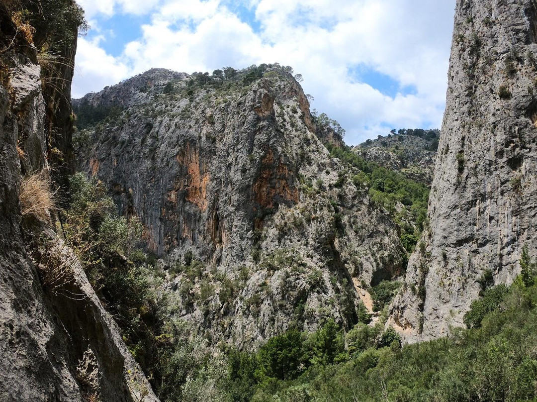 NatureNurture Adventures-马洛卡岛必去景点