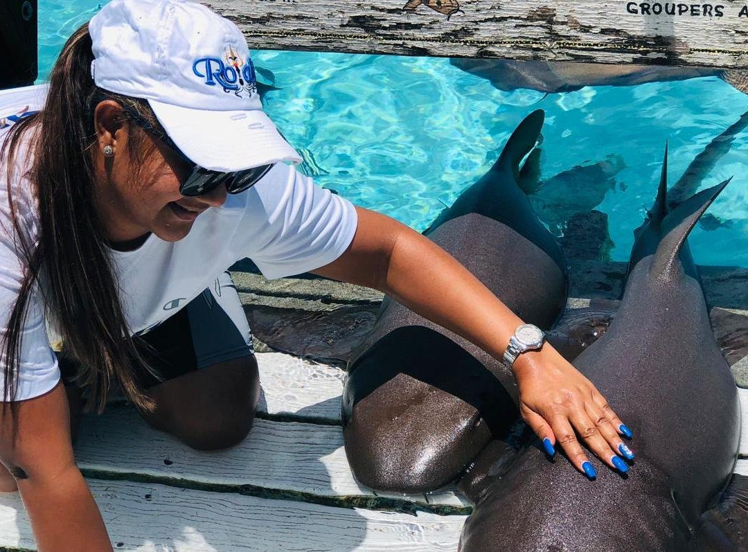 Charter Me Bahamas-拿骚必去景点