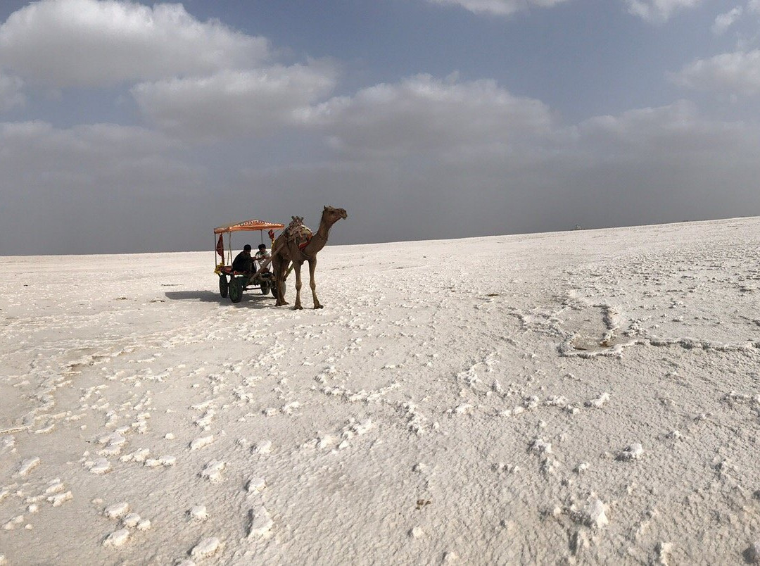 Udaipur Tour Cab-乌代布尔必去景点
