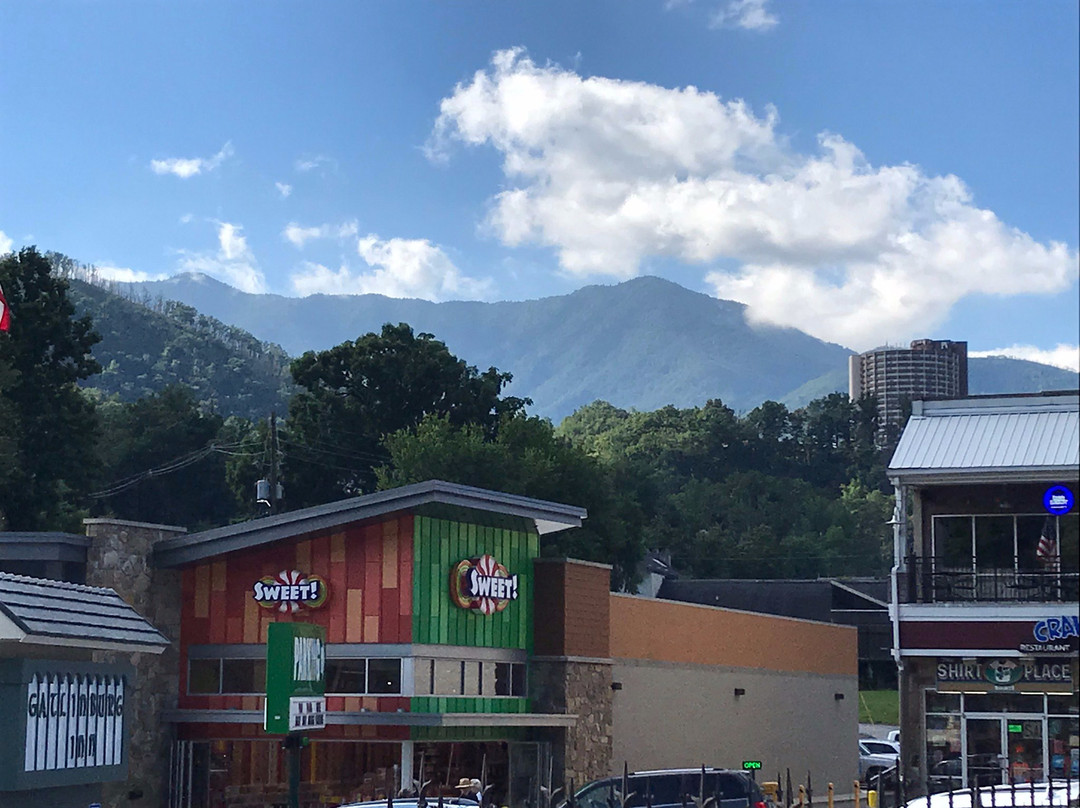 加特林堡酒店主图