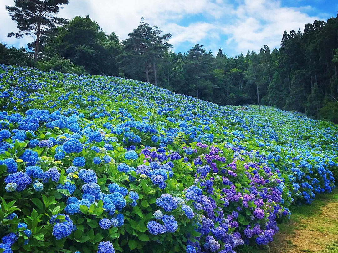 Akasaka Public Park-气仙沼市必去景点