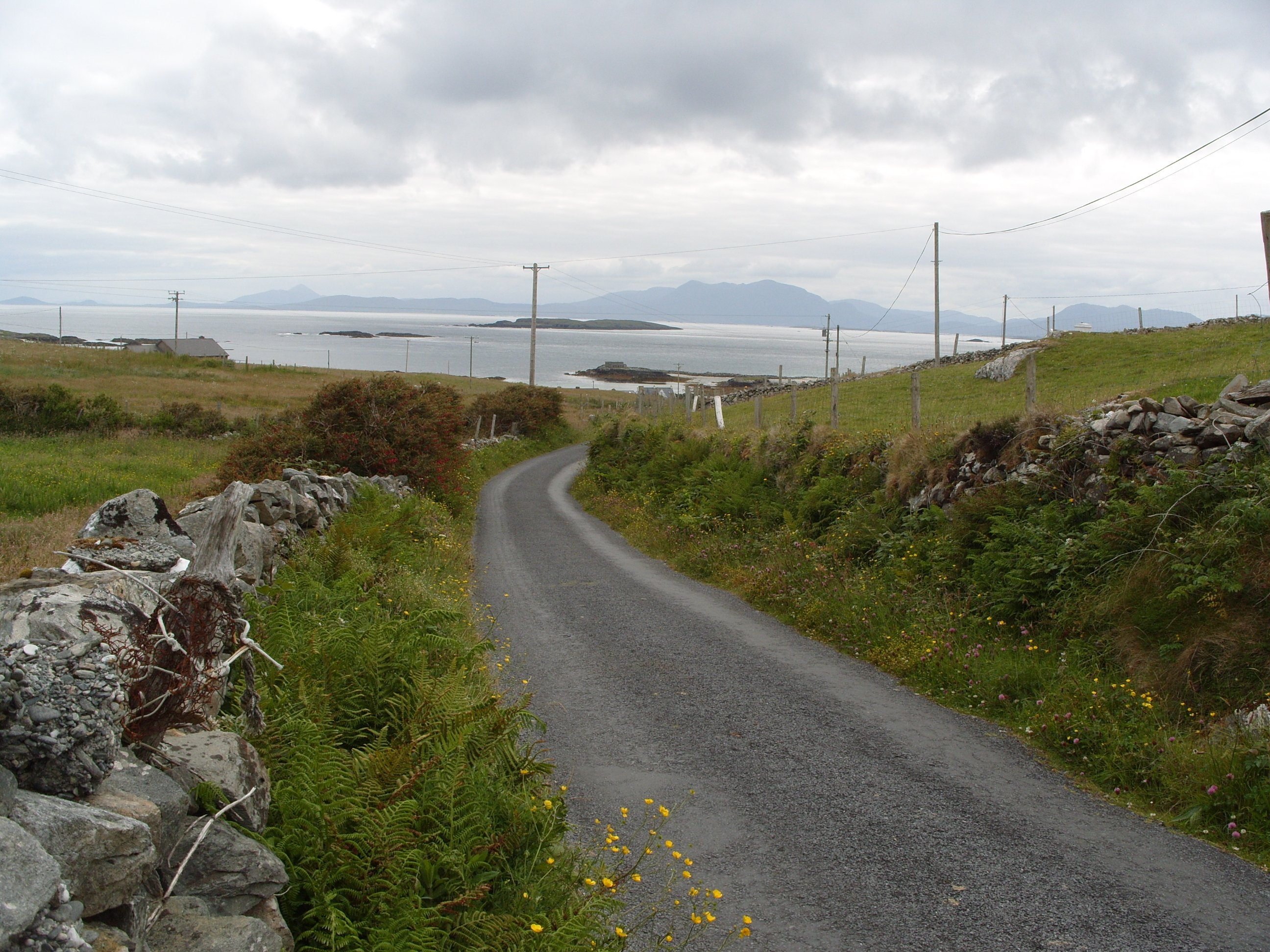 Dolphin Hotel Inishbofin-泳池