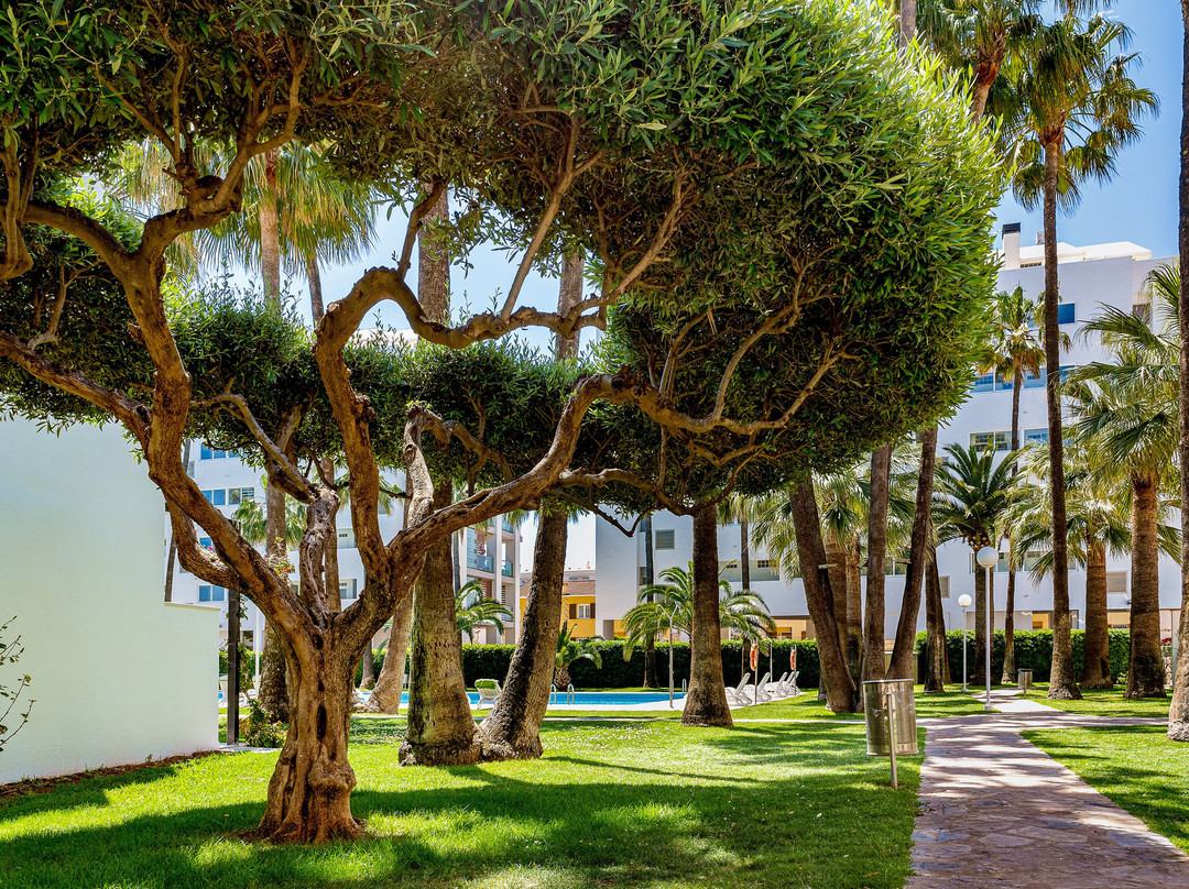 罗望子公寓酒店主图