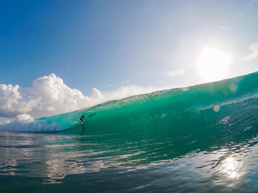 Playground Surf Resort主图