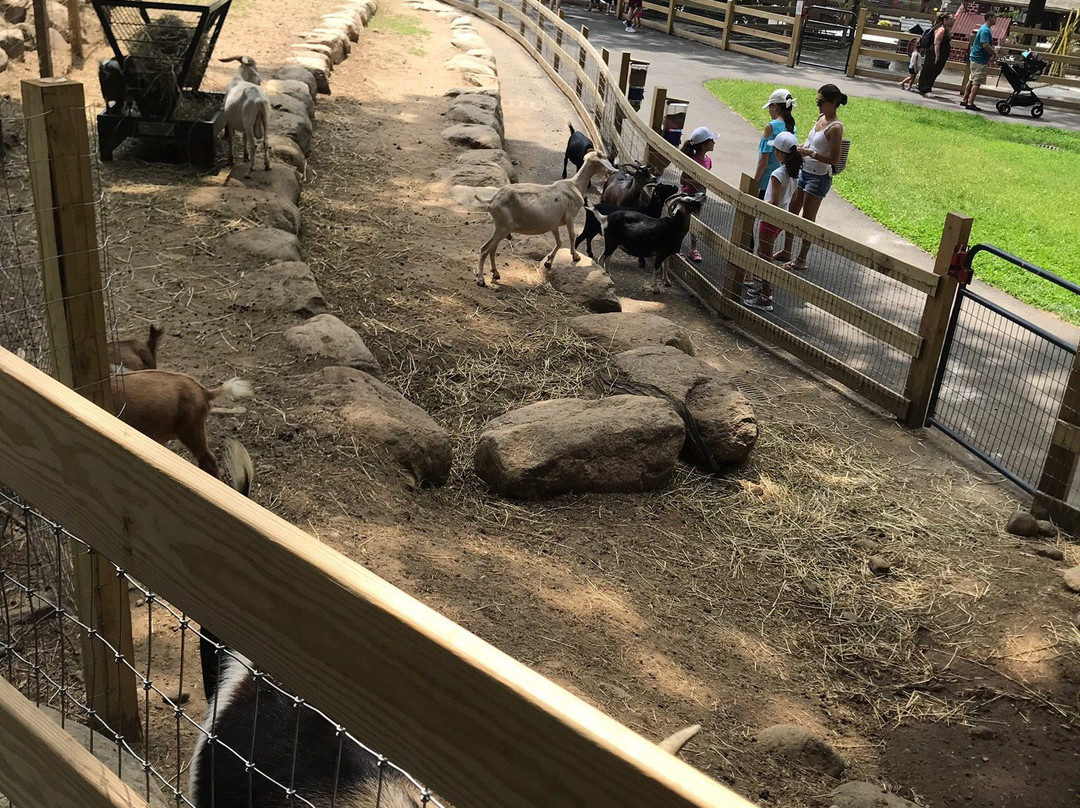 Abma's Farm景点图片