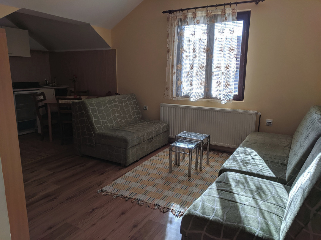 Apartments Popovic主图