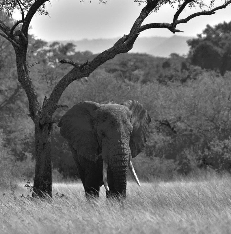 Unlimited Expeditions - The Soul Of Tanzania-阿鲁沙必去景点