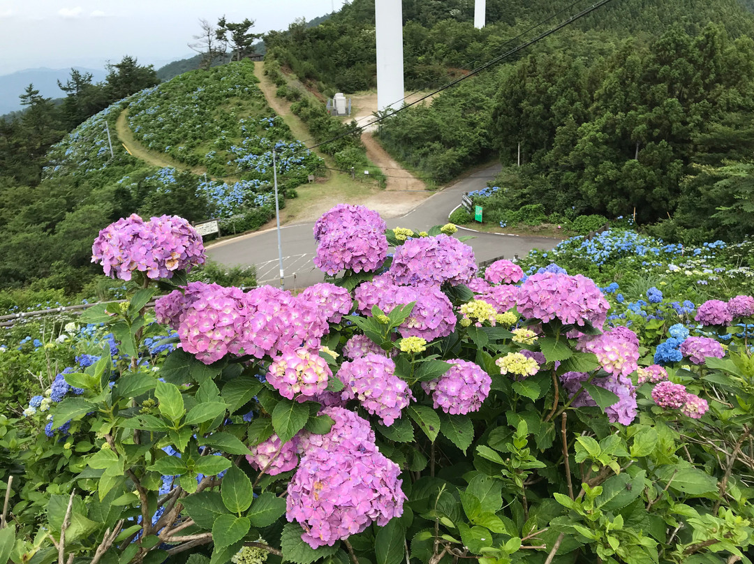 Okawara Kogen景点图片