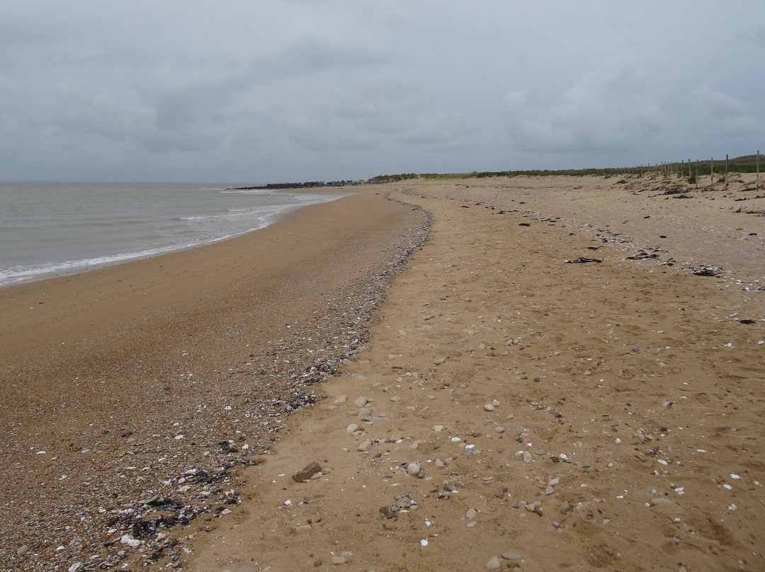 Réserve naturelle nationale de la Baie de l’Aiguillon景点图片